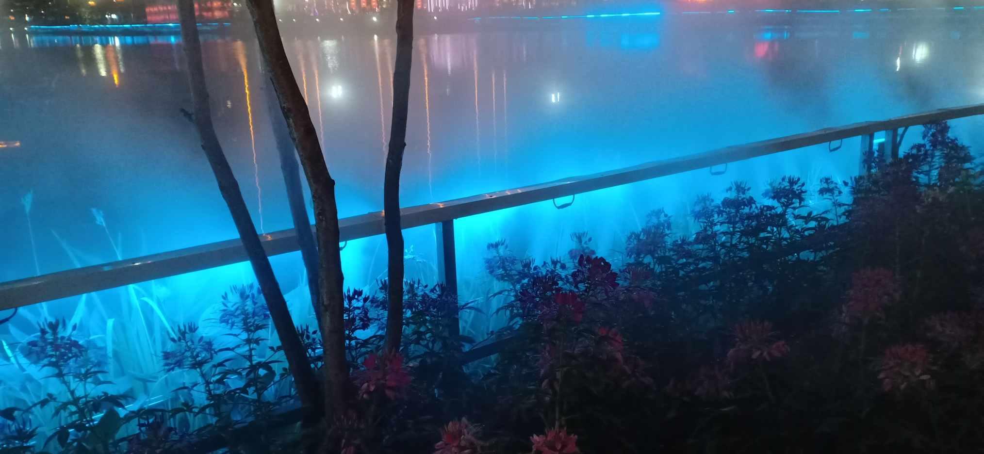 阴森庄园的秘密